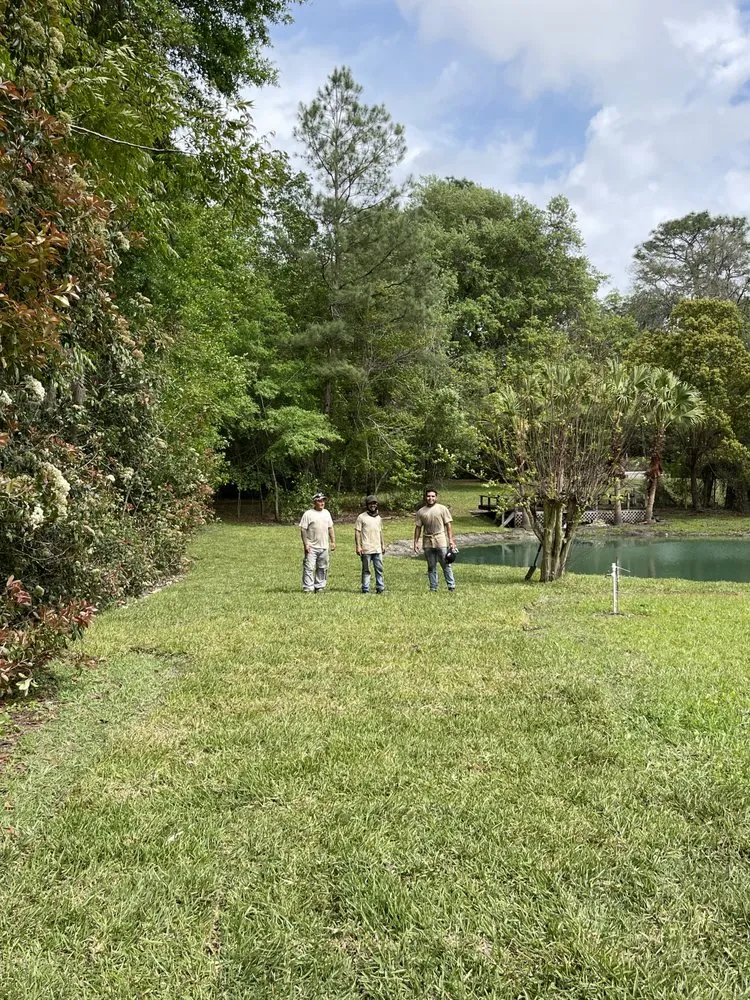 Trusted outdoor landscaping for residential properties across O'Brien, FL - Sodmore