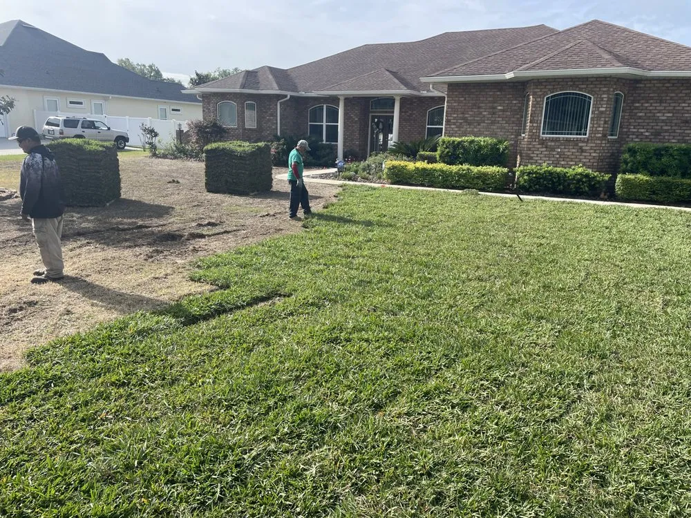 Trusted landscape design experts serving O'Brien, FL - Sodmore