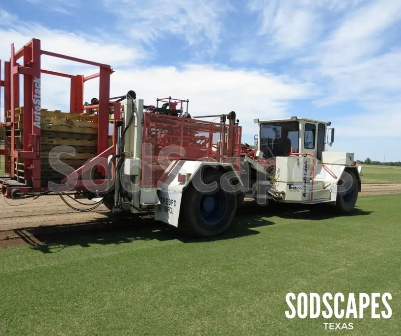 Professional residential landscaping in Lewisville, TX - SodScapes Texas