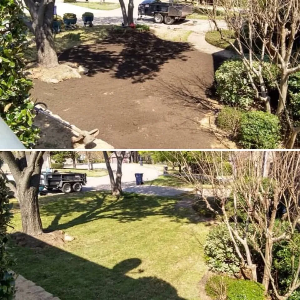 Custom yard maintenance in Lewisville, TX by SodScapes Texas