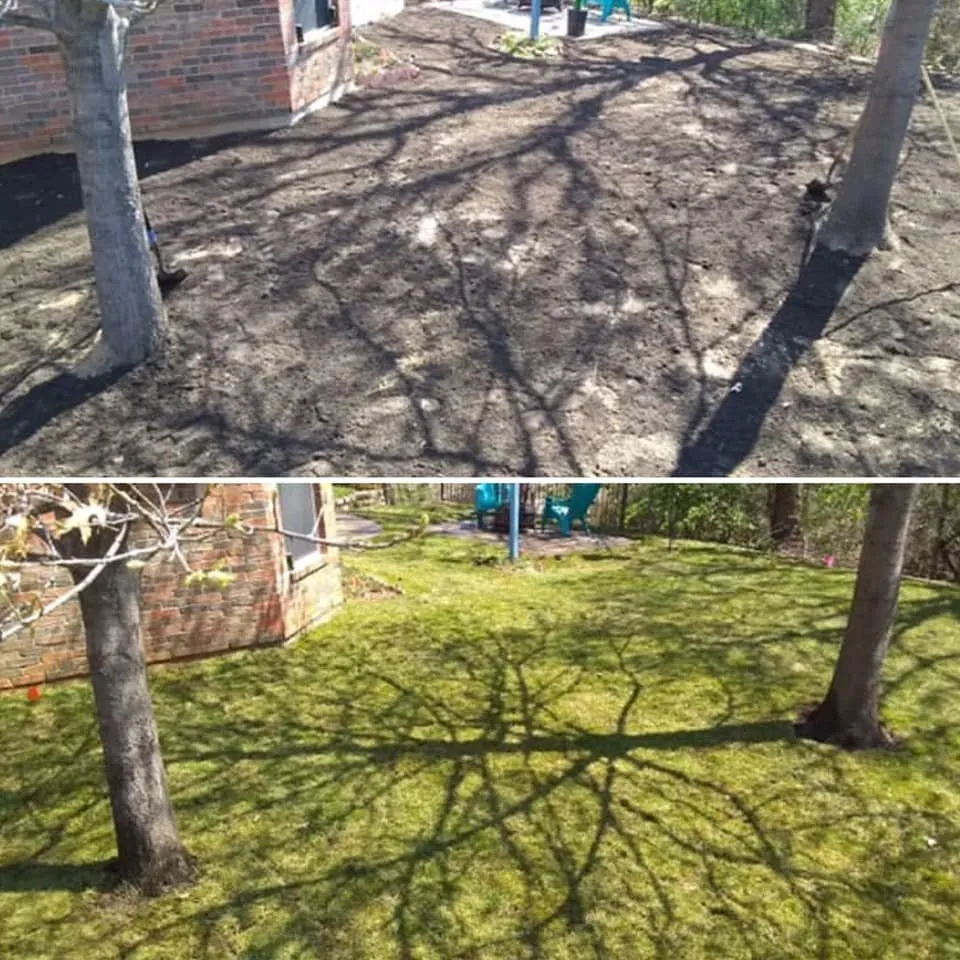 Local residential landscaping experts serving Lewisville, TX - SodScapes Texas