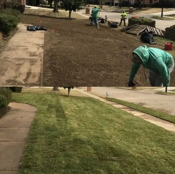 Top-rated garden landscaping in Lewisville, TX by SodScapes Texas