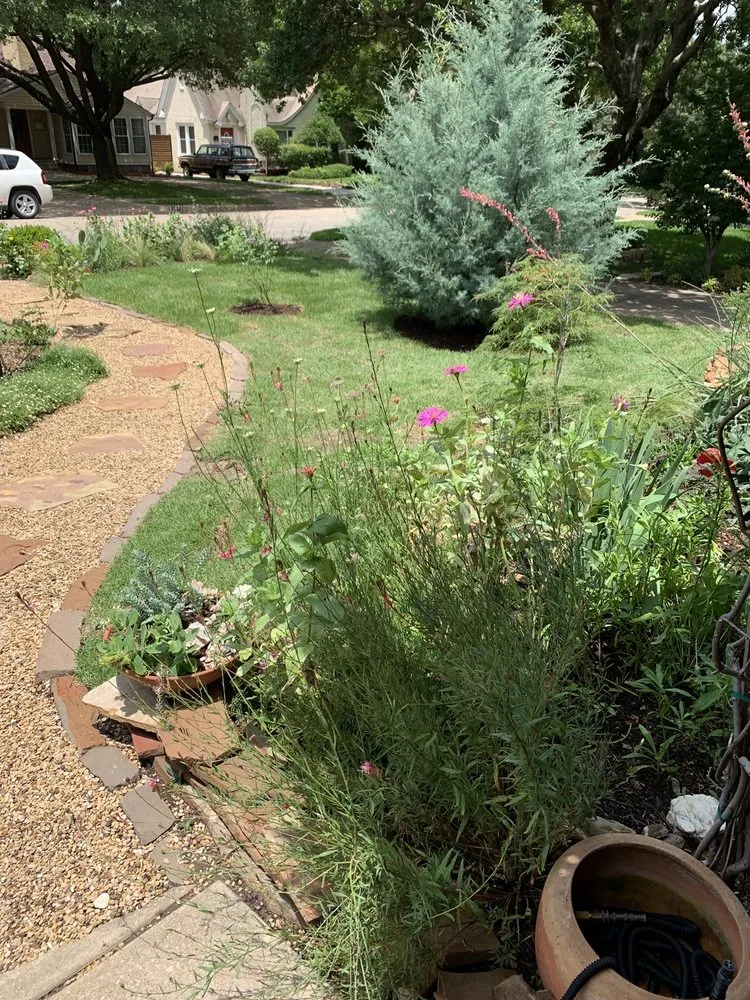 Top-rated landscaping services in Lewisville, TX - SodScapes Texas