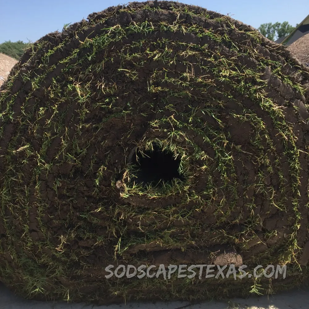 Trusted residential landscaping for residential properties across Lewisville, TX - SodScapes Texas