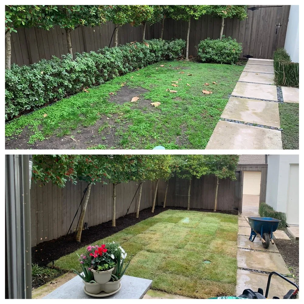 Trusted residential landscaping for outdoor upgrades in Lewisville, TX by SodScapes Texas