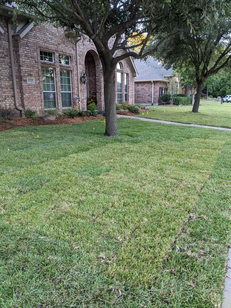 Expert outdoor landscaping for year-round maintenance in Lewisville, TX by SodScapes Texas