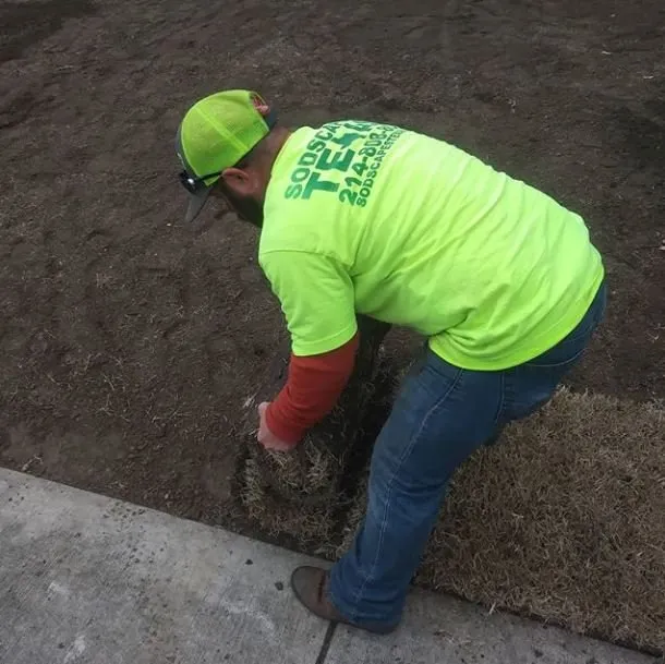 Custom yard maintenance experts serving Lewisville, TX - SodScapes Texas