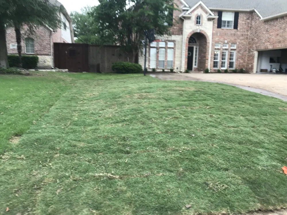 Trusted yard cleanup service in Lewisville, TX by SodScapes Texas