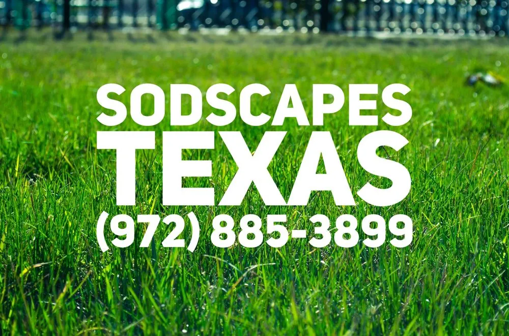 Local garden landscaping in Lewisville, TX by SodScapes Texas