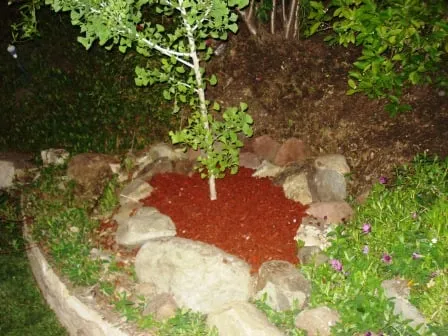 Expert outdoor landscaping experts serving Simi Valley, CA - SodTill