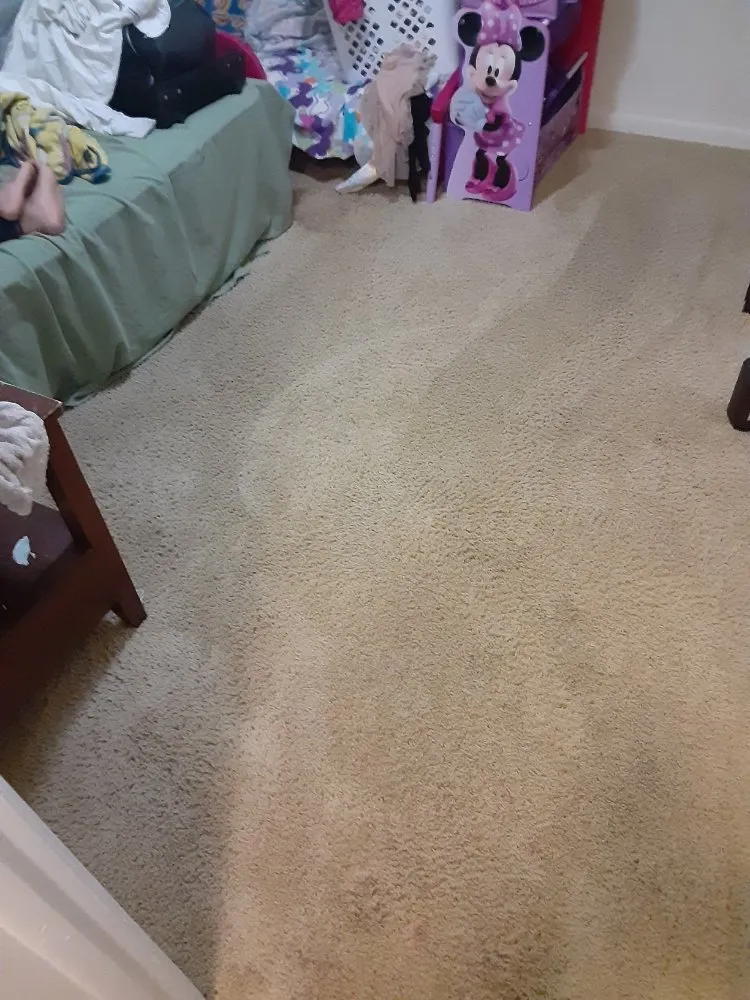 Top-rated residential landscaping in Orlando, FL by Sofie Cleaning & Lawn Care