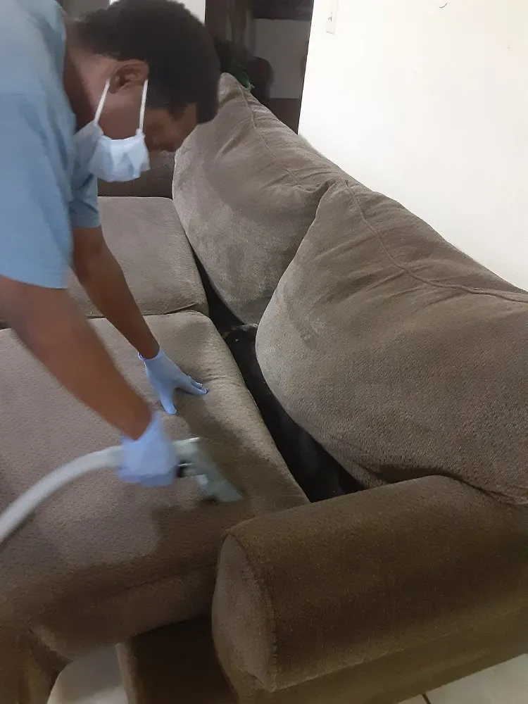 Expert lawn care service for beautiful yards across Orlando, FL - Sofie Cleaning & Lawn Care