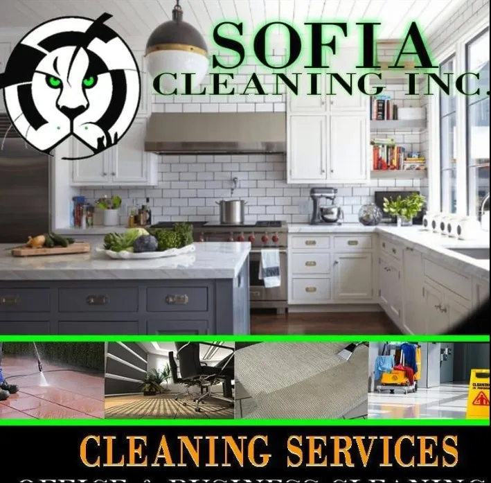 Professional residential landscaping in Orlando, FL by Sofie Cleaning & Lawn Care