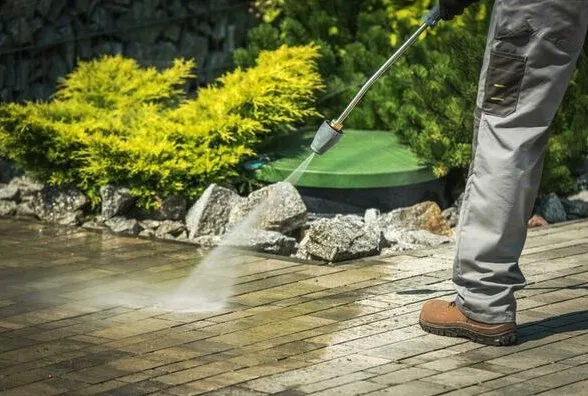 Expert lawn care service in Orlando, FL by Sofie Cleaning & Lawn Care