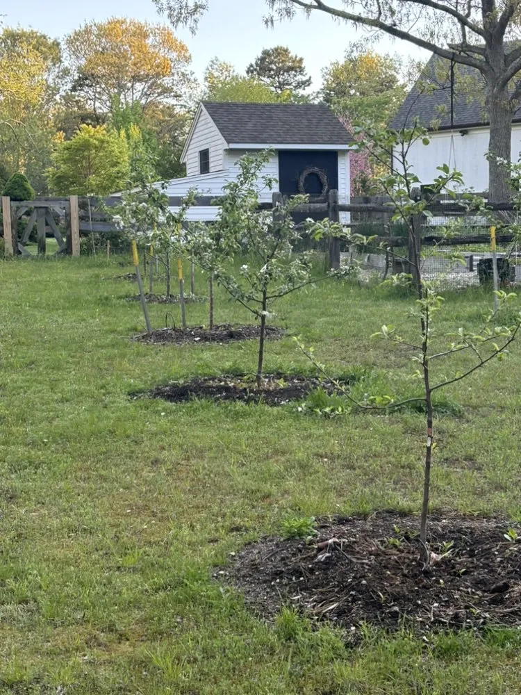Top-rated landscape installation for outdoor upgrades in Barnstable, MA by Sofkin Landscaping and Irrigation