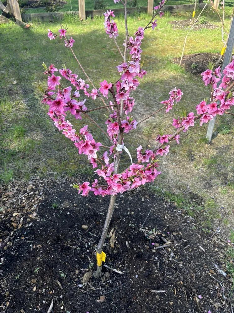 Expert lawn mowing service with custom design in Barnstable, MA by Sofkin Landscaping and Irrigation