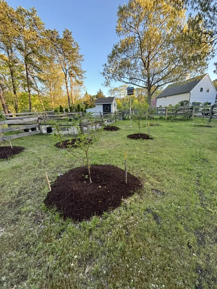 Affordable outdoor landscaping in Barnstable, MA by Sofkin Landscaping and Irrigation