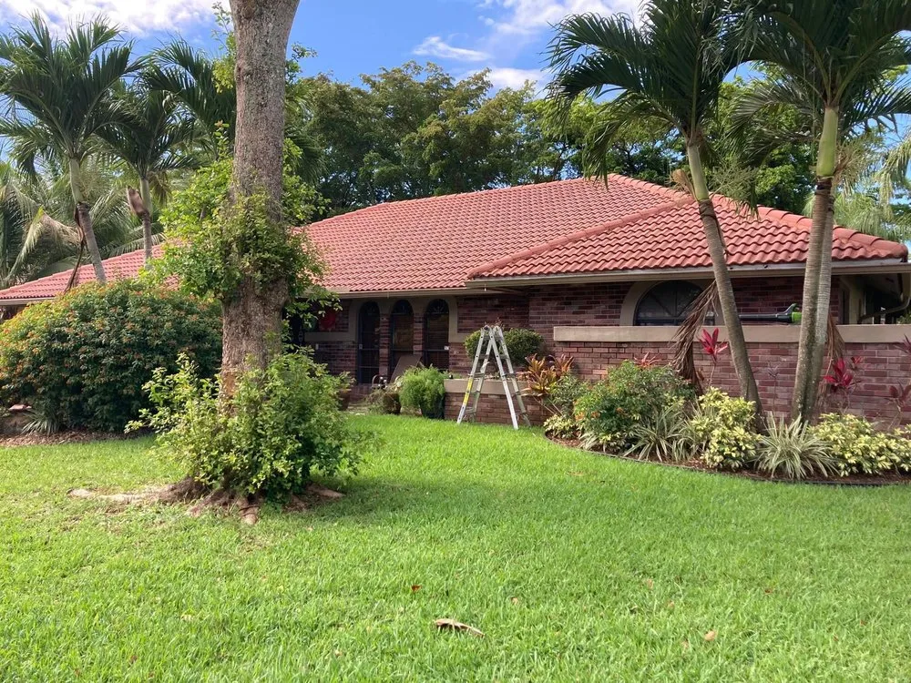 Local yard cleanup service experts serving Coconut Creek, FL - Soflo Garden Design