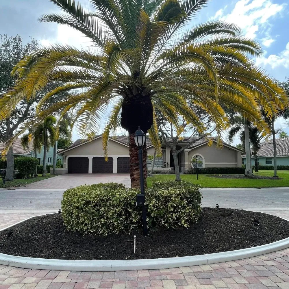 Expert landscape installation experts serving Coconut Creek, FL - Soflo Garden Design