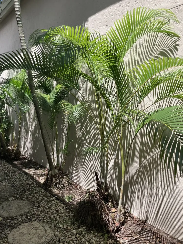 Trusted garden landscaping experts serving Coconut Creek, FL - Soflo Garden Design