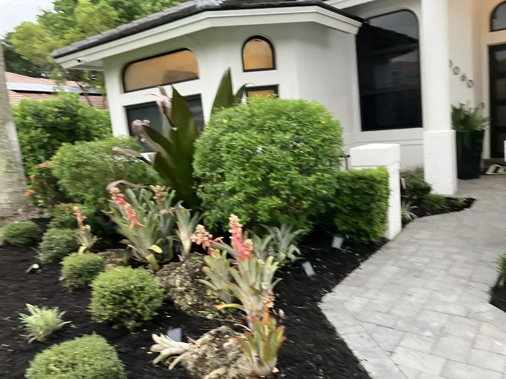 Expert yard cleanup service in Coconut Creek, FL by Soflo Garden Design