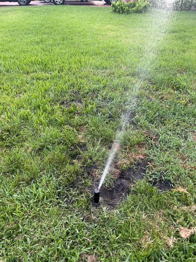 Trusted landscape design experts serving Fort Lauderdale, FL - Soflo Irrigation