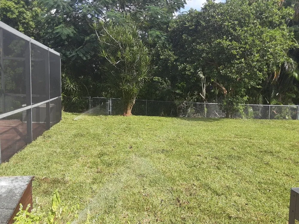 Professional lawn mowing service experts serving Fort Lauderdale, FL - Soflo Irrigation