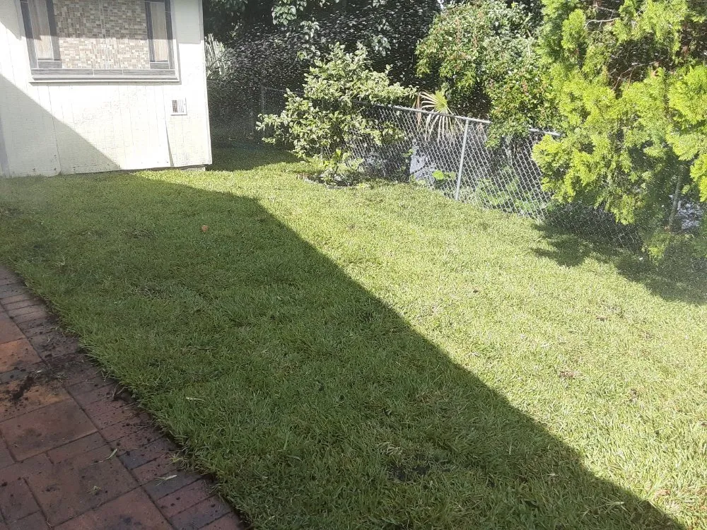 Professional residential landscaping for homes across Fort Lauderdale, FL - Soflo Irrigation