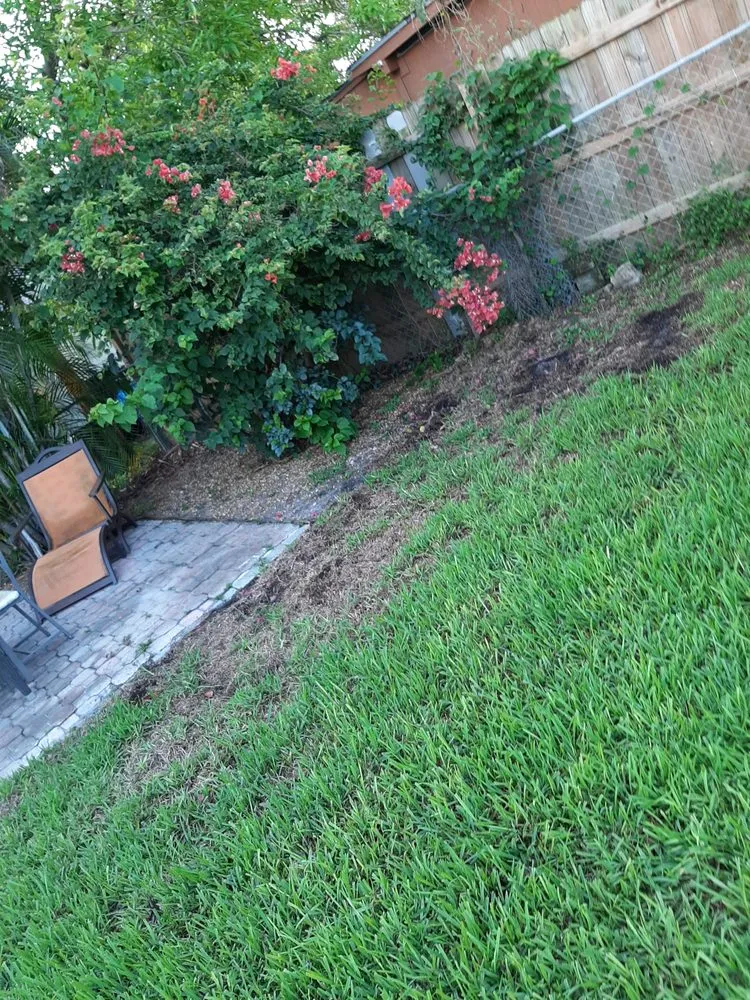 Top-rated residential landscaping experts serving Fort Lauderdale, FL - Soflo Irrigation