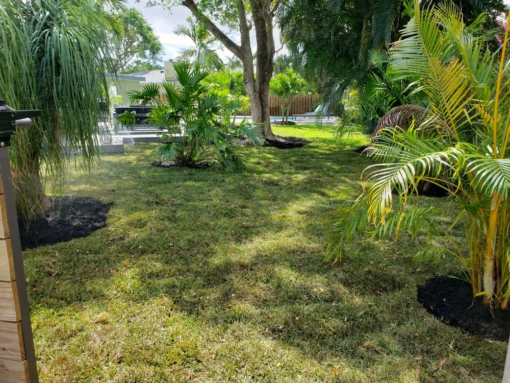 Affordable landscape installation experts serving Fort Lauderdale, FL - Soflo Irrigation