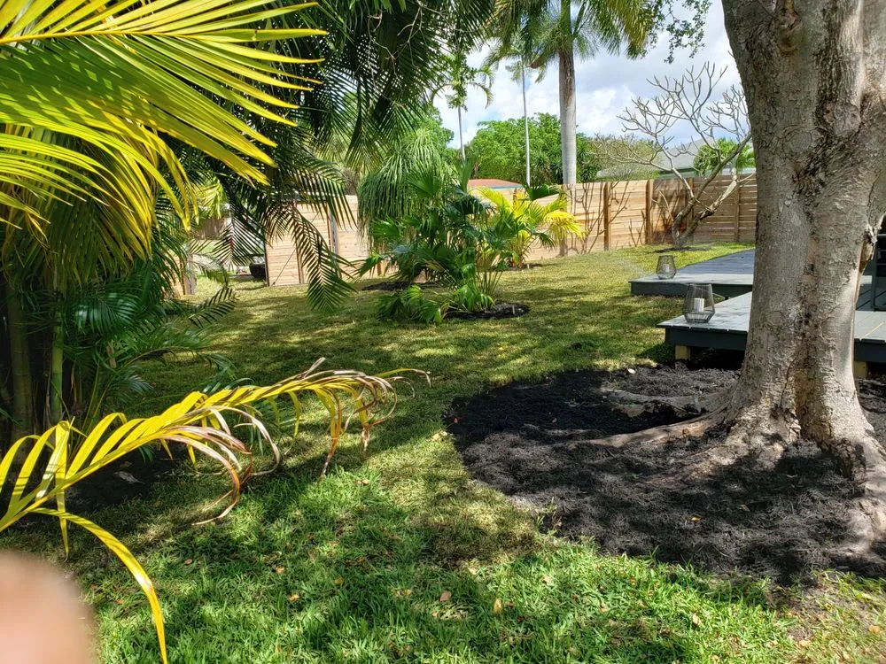 Reliable outdoor landscaping in Fort Lauderdale, FL by Soflo Irrigation