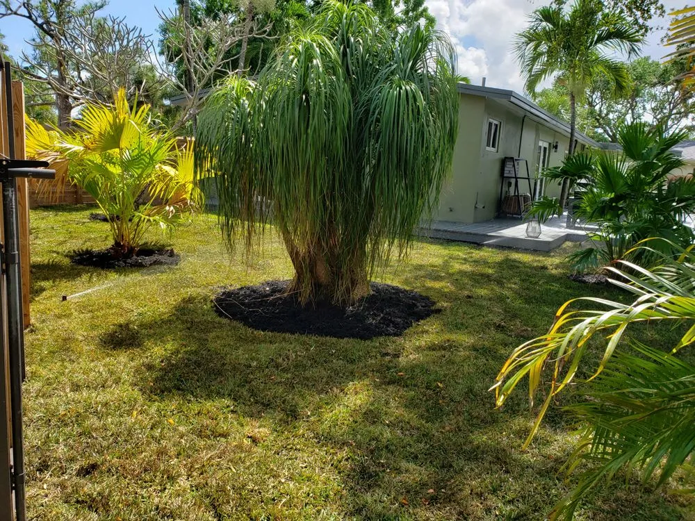Affordable lawn mowing service for outdoor upgrades across Fort Lauderdale, FL - Soflo Irrigation