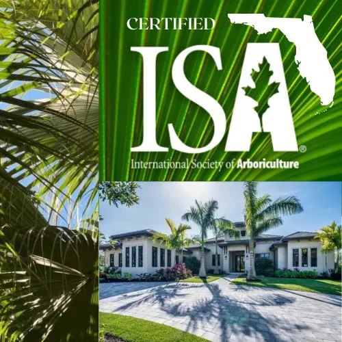 Trusted outdoor landscaping experts serving Pompano Beach, FL - SoFlo Landscape & Design