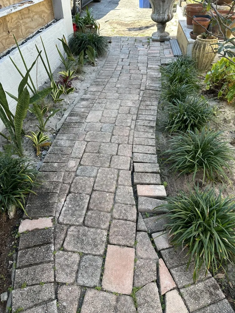 Top-rated yard cleanup service in Pompano Beach, FL by SoFlo Landscape & Design