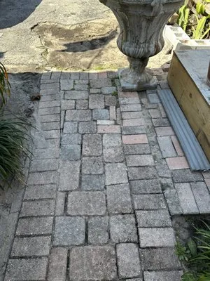SoFlo Landscape & Design