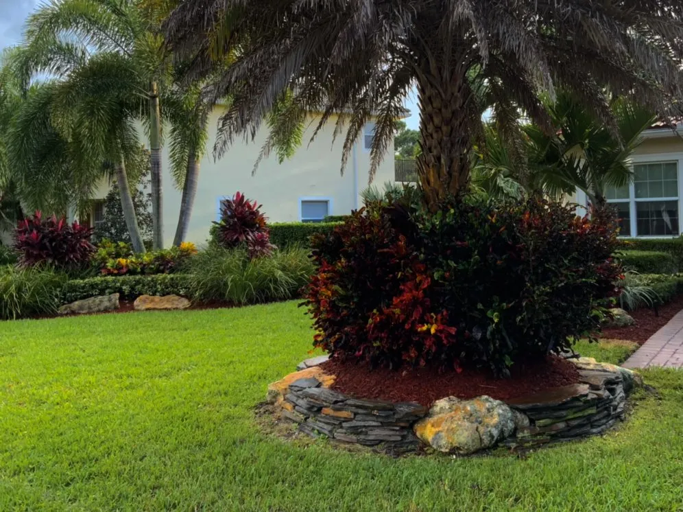 Professional yard maintenance in Jupiter, FL - SOFLO Landscaping & Property Maintenance