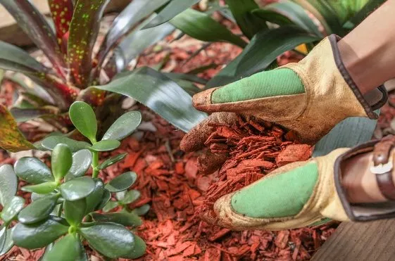 Reliable landscaping services experts serving Dade City, FL - Sofo Irrigation Services