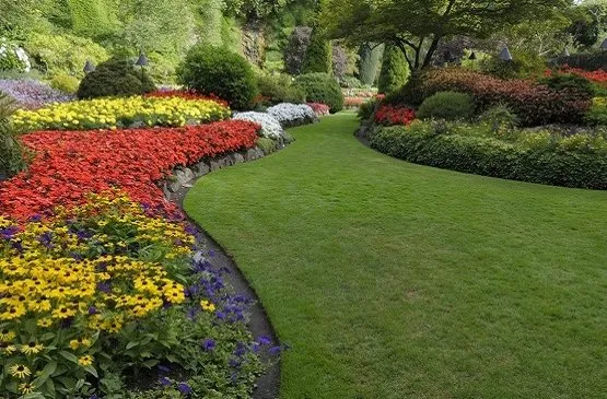 Trusted outdoor landscaping near you across Dade City, FL - Sofo Irrigation Services