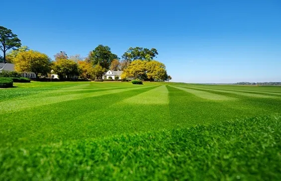 Local residential landscaping for residential properties across Dade City, FL - Sofo Irrigation Services