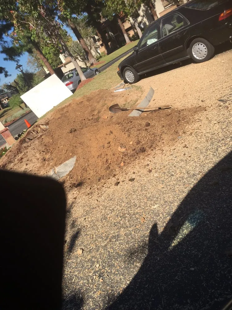 Top-rated garden landscaping with custom design across Orange, CA - Softscapes Corporation