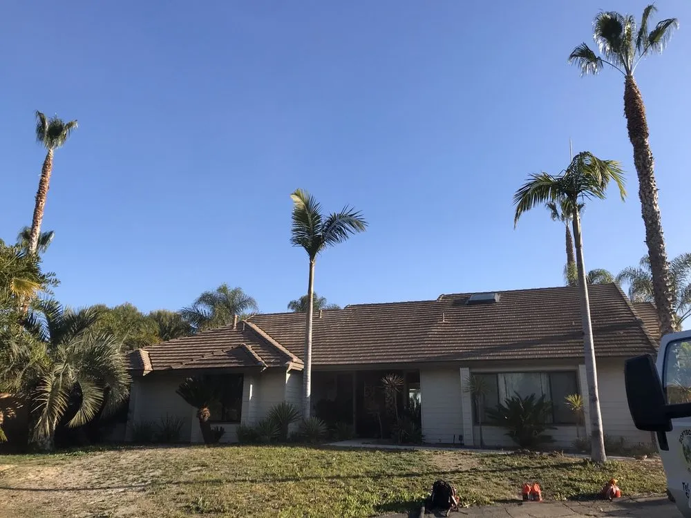 Professional landscape installation for homes across Orange, CA - Softscapes Corporation