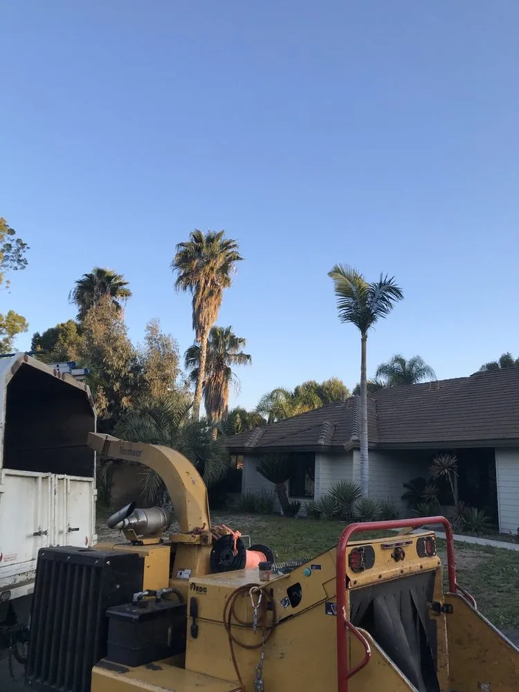 Custom yard cleanup service experts serving Orange, CA - Softscapes Corporation