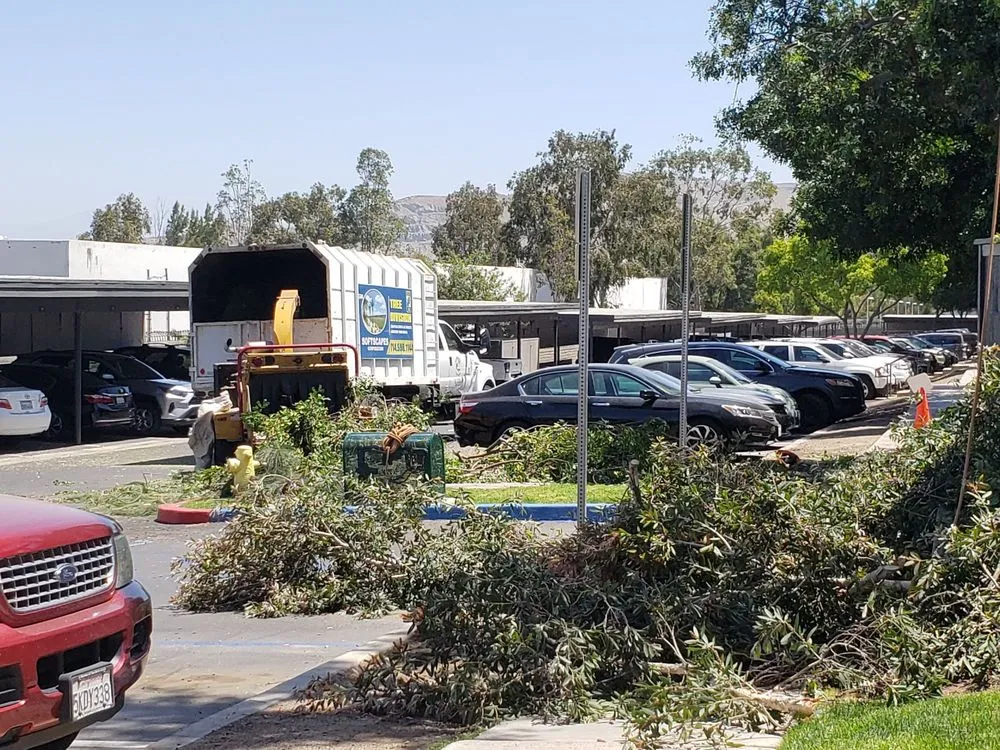 Professional residential landscaping for residential properties across Orange, CA - Softscapes Corporation