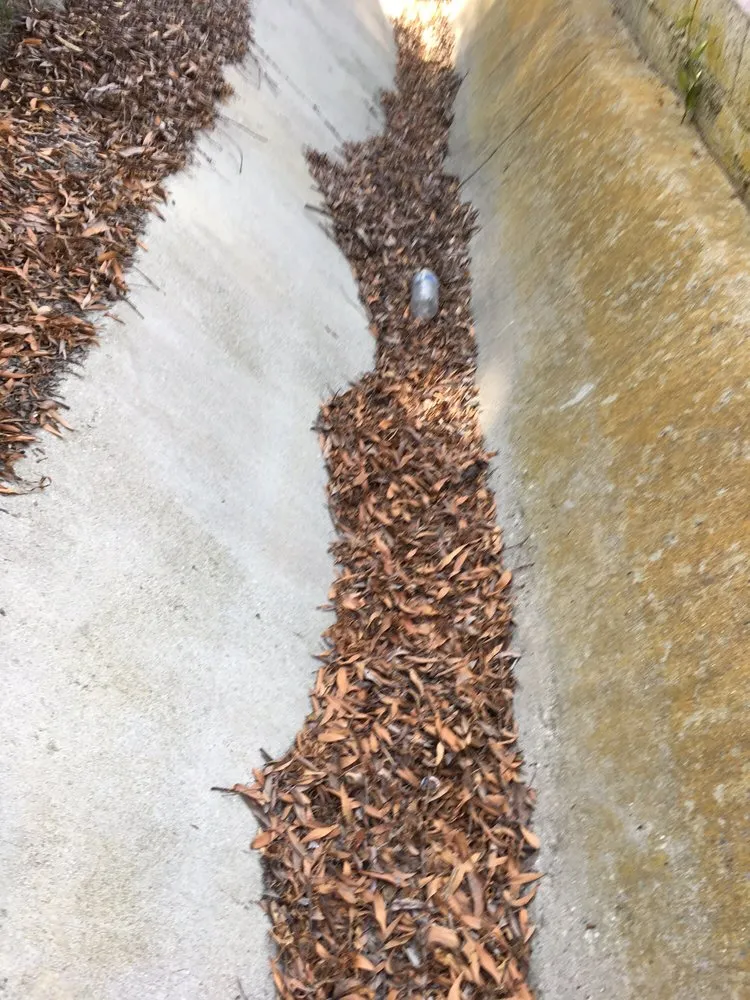 Professional outdoor landscaping in Orange, CA by Softscapes The Art of Landscape