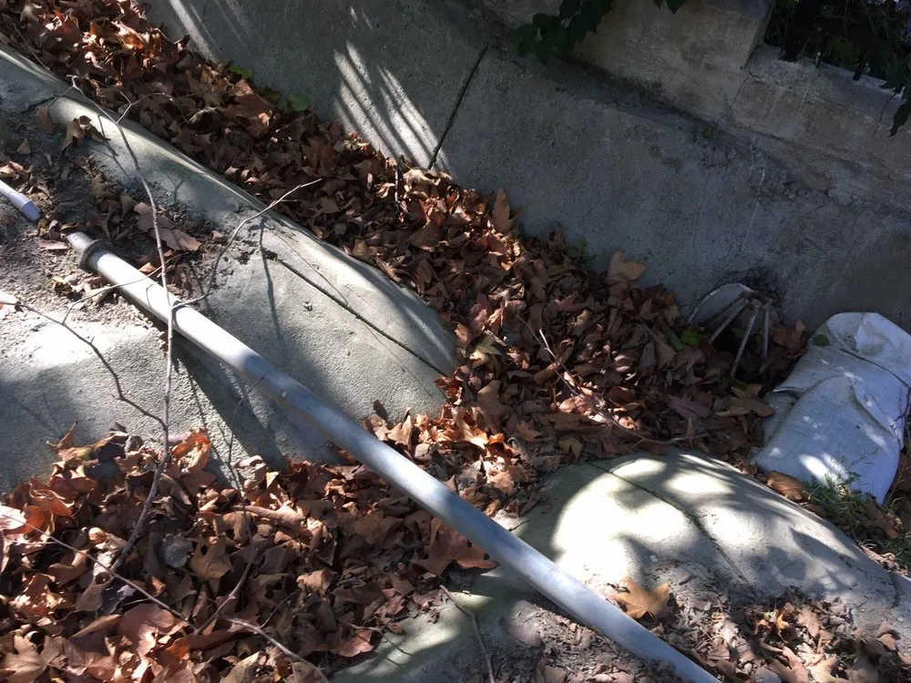 Reliable landscape installation for homes in Orange, CA by Softscapes The Art of Landscape