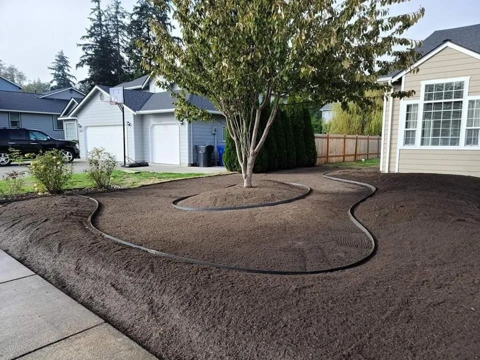 Professional landscaping services in Zebulon, NC - Sog Landscaping