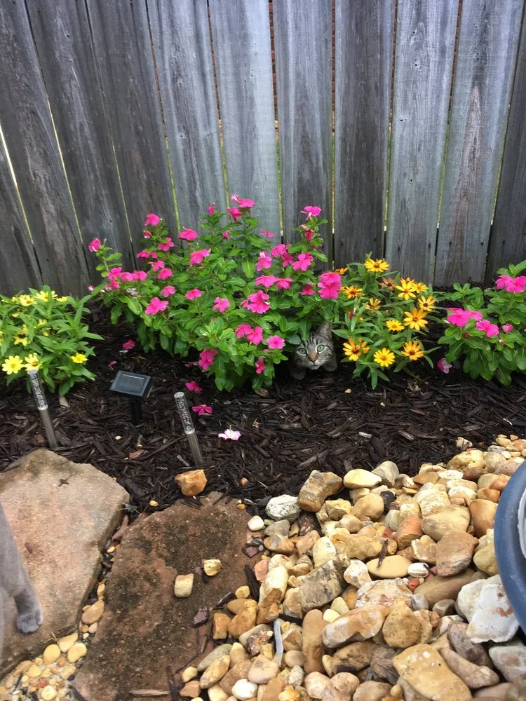 Custom outdoor landscaping with custom design in Decatur, AL by Sohn's Services