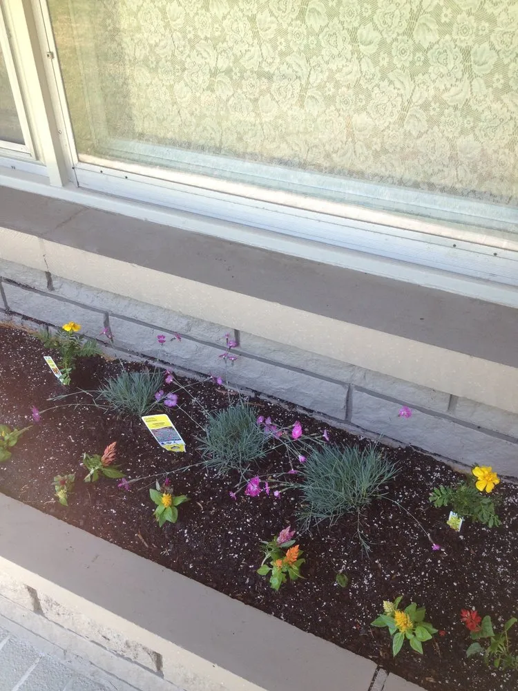 Reliable lawn care service with custom design across Decatur, AL - Sohn's Services