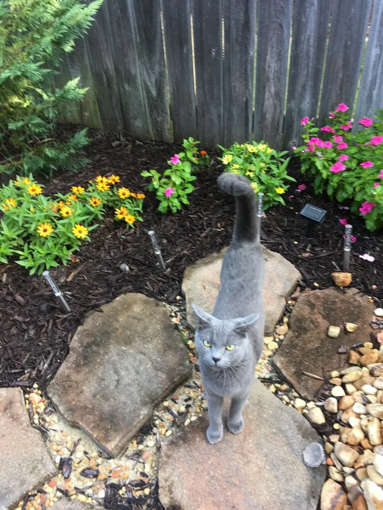 Top-rated lawn care service for homes in Decatur, AL by Sohn's Services