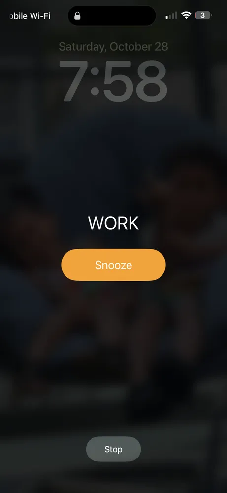 Expert landscaping services in Atlanta, GA - Soho Commercial Services